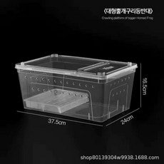 장수풍뎅이집 소라게 타란튤라 사육장 달팽기 키우기 전갈 집 바바리움, AI_대형투명, 1개
