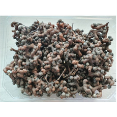 헛개나무 열매, 1개, 500g