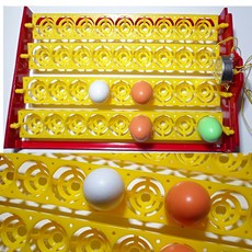 병아리36란 전란틀 부화기용전란 부화기제작, 병아리36란전란틀(부화기아님)