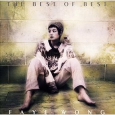 王菲 (왕비 Faye Wong) - Best of Best [2LP], Universal Japan, 王菲 (왕비, Faye Wong), 음반/DVD