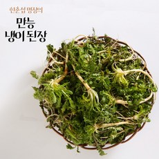 [TV홈쇼핑 방송상품] 한춘섭 명장의 만능냉이된장, 12개, 100g