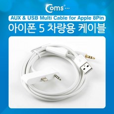아이폰미러링차량