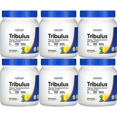 뉴트리코스트 고흡수 트리뷸러스 남가새 파우더, 6개, 500g