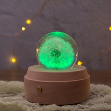 하포드단델리온