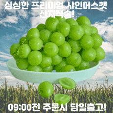 산지직송샤인머스켓1kg
