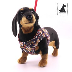 찰리스백야드하네스