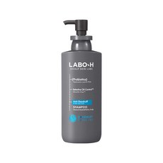 라보에이치 탈모케어 두피강화 샴푸 400ml 2개 + 두피강화 샴푸 112ml 2개, 라보에이치 탈모케어 샴푸 댄드러프클리닉 일반건성비듬,