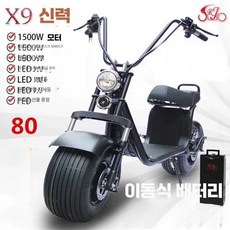 더 이공이사 위페드 타이어 대리운전 충전기 전기, 1개, X20 40km 2000W 배터리 충전 60V