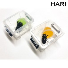 ca8a4029967b1a7f14782324cd240a8ee8de4fd39c914b8fce6dd079cc71.jpg
