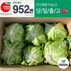 <해돋이농산> 국내산 벌크 양상추 ( 특 ) 6통 12통