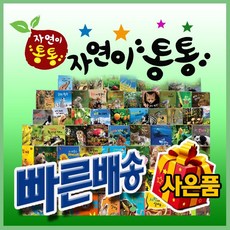 프리미엄 자연이통통 (82종) [최신개정판] 우리아이 첫 자연관찰그림책