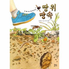 곤충한살이세트
