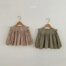 알라딘날개꽃블라우스