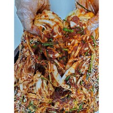 친정 엄마의 손맛을 소환하는 하니 포기김치, 10kg, 1개