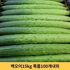 다다기오이박스