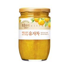 복음자리 유자차, 480g, 1개입, 1개