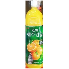 롯데제주플레이토피아