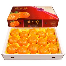 삼다몰 제주 레드향 3kg 5kg 10kg, 1박스, 레드향(왕특대) 5kg(12~18과)