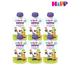 HiPP 힙 유기농 이유식 100g X 6팩 10종 모음, 1개, 플럼+블랙커런트+배 혼합맛