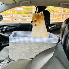 개과천선강아지카시트