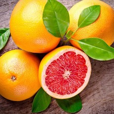 자몽프래그런스