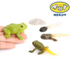 제트피규어 개구리 성장과정 성장 한살이 피규어 동물 모형 장난감