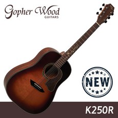 고퍼우드 K250R 탑솔리드 기타 [공식대리점 당일발송 평생AS]