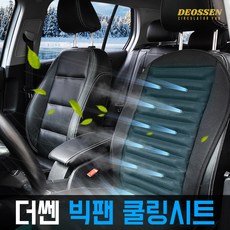 더쎈프로