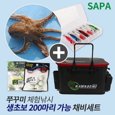 쭈꾸미체험