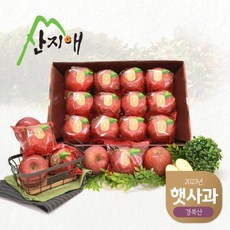 [산지애] 씻어나온 2023년 햇사과 3kg, 1개