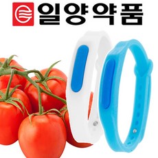 토마틴