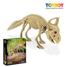 공룡뼈모형