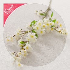 추천7벚꽃캠핑장