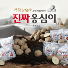 시골보쌈과감자옹심이