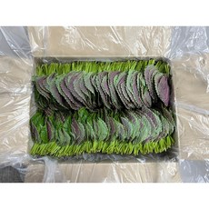 깻잎 밀양깻잎 50개입(2kg내외) 1박스, 2kg, 1개