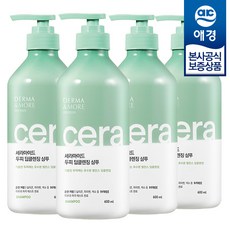 [애경] 더마앤모어 세라마이드 샴푸, 4개