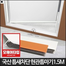 단열현관문