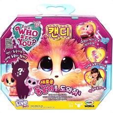 후아유 캔디 동글이를 도와줘 정품