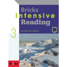 bricksreading