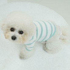 강아지 그린 줄무늬 데일리 티셔츠 1P 추천 봄가을 긴 beg*6041Gf, S, 1개