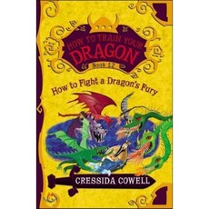 How to Train Your Dragon:How to Fight a Dragon's Fury, Little, Brown Books for Youn..