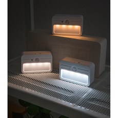 발목조명