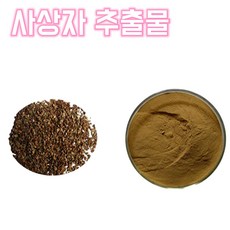 영진 사상자 벌사상자 사미 추출물 가루 건강분말, 200g, 1개, 10:1