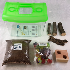 숲놀이곤충채집세트