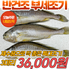 경영푸드 제수용 반건조 부세조기 3마리 특대사이즈 28cm 내외, 3개