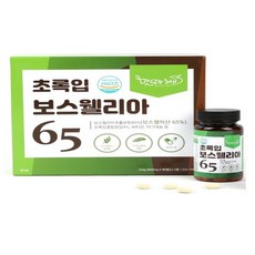 초록입 보스웰리아 65 600mg 90정 2통 보스웰릭산 65% 뉴질랜드 초록입홍합