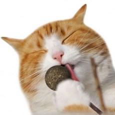 티티펫 고양이 막대사탕 캣닢 볼, 1개