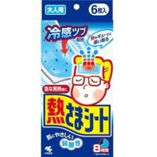 코바야시어른용
