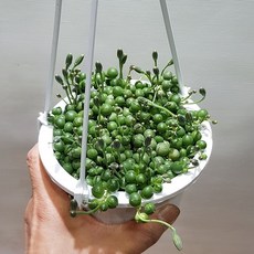 1bb90da18768ecbefc735e651b155c05aea5df056dd933537a174e2abdd3.jpg