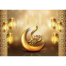 모스크스튜디오